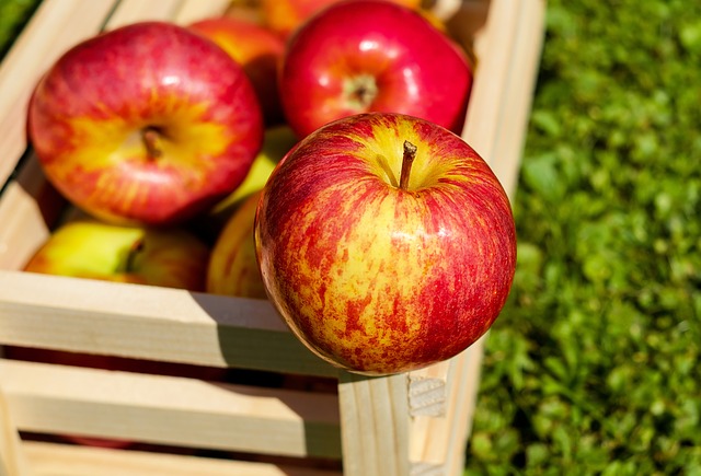 Optymalne warunki przechowywania jabłek w chłodni: Zachowanie Świeżości przez Dłuższy Okres